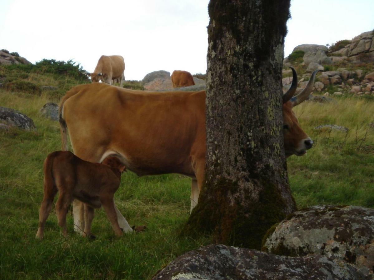 Casa Tritao Βίλα Campo do Geres Εξωτερικό φωτογραφία