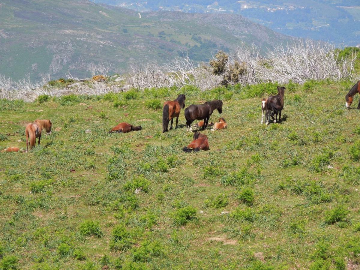 Casa Tritao Βίλα Campo do Geres Εξωτερικό φωτογραφία
